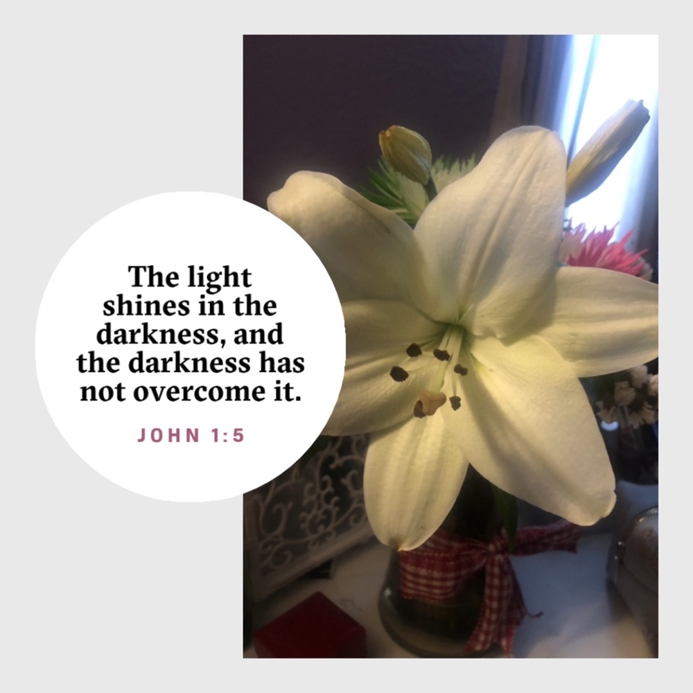 Meet your Posher, Josephine